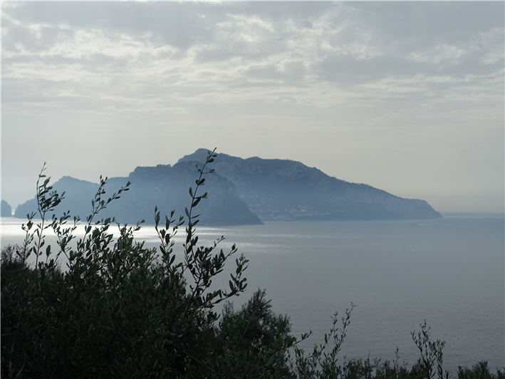 Capri viewed from the family farm